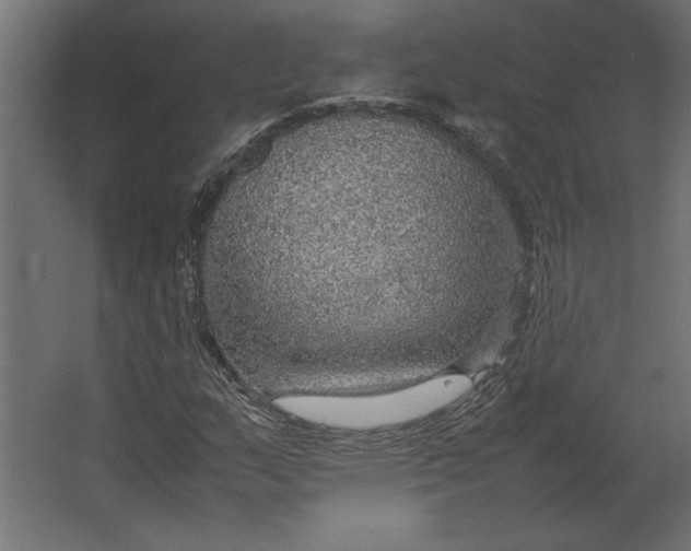 X0000067481159200604211625