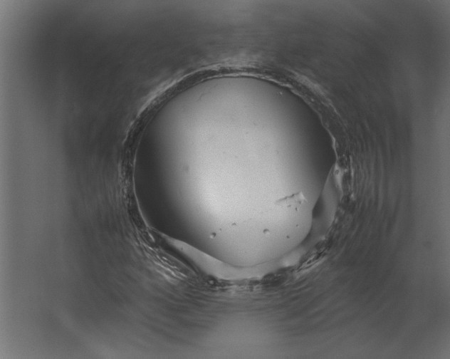 X0000067481160200604211625