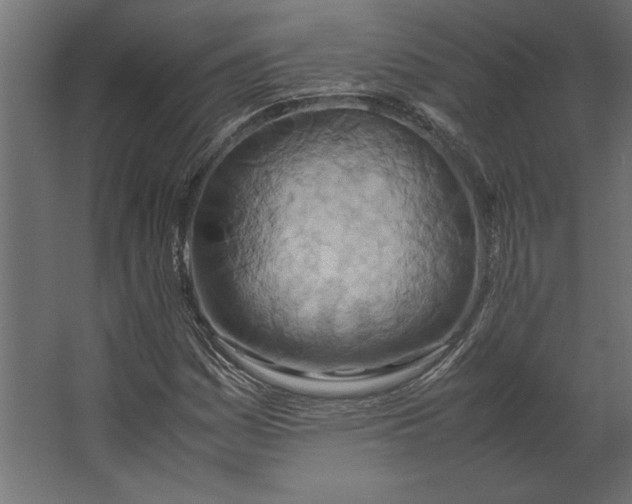 X0000067481161200604211625