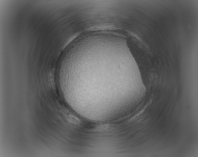 X0000067481162200604211625