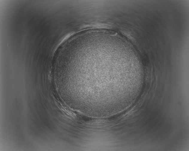 X0000067481163200604211625