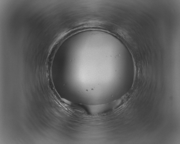 X0000067481164200604211625