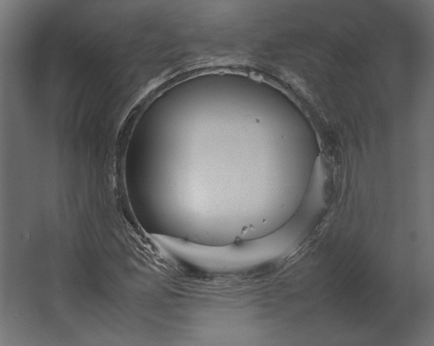 X0000067481165200604211625