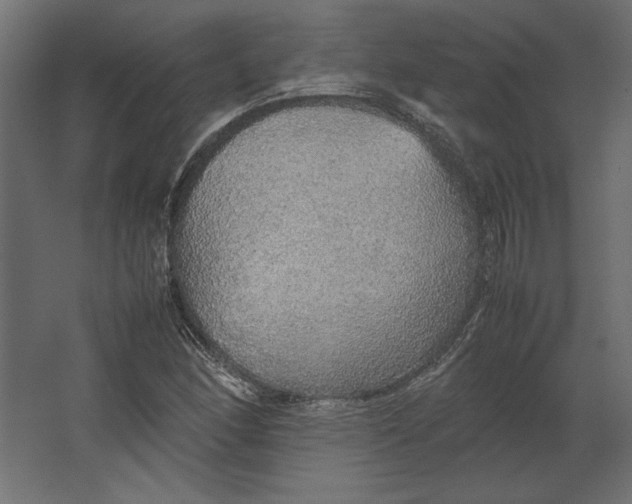 X0000067481166200604211625