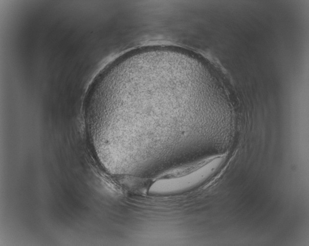 X0000067481167200604211625