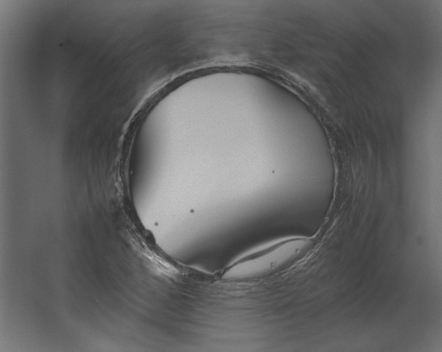 X0000067481168200604211625