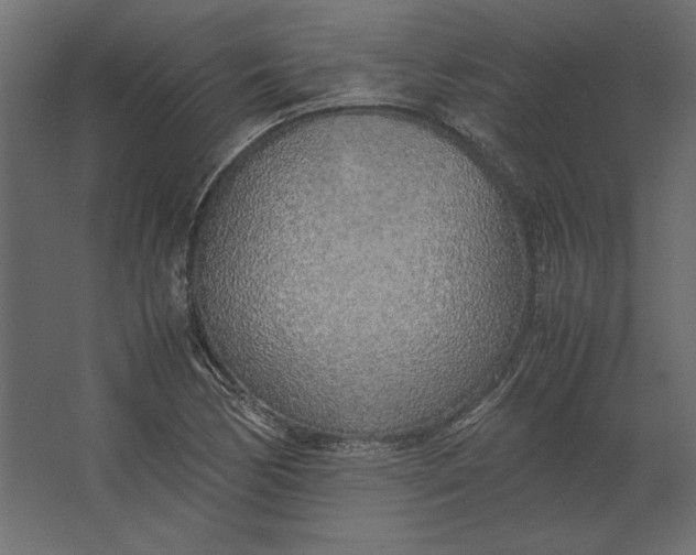 X0000067481170200604211625