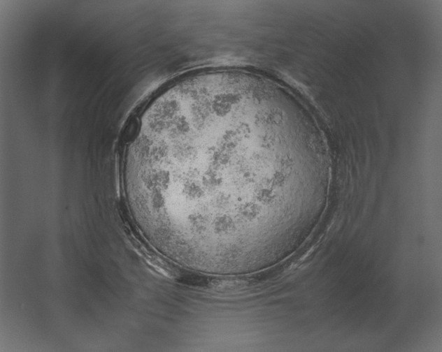 X0000067481171200604211625