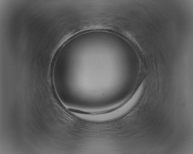 X0000067481173200604211625