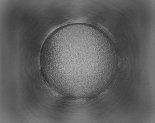 X0000067481174200604211625