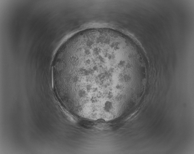 X0000067481175200604211625