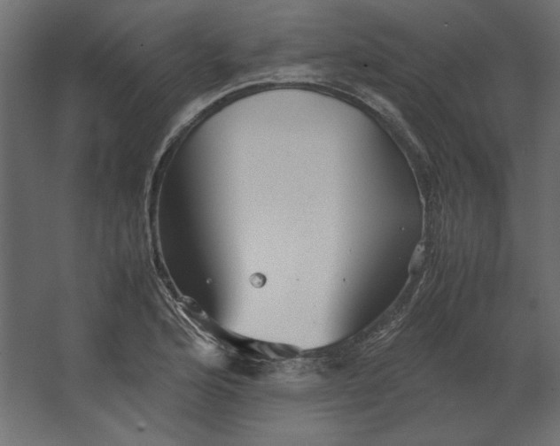 X0000067481176200604211625