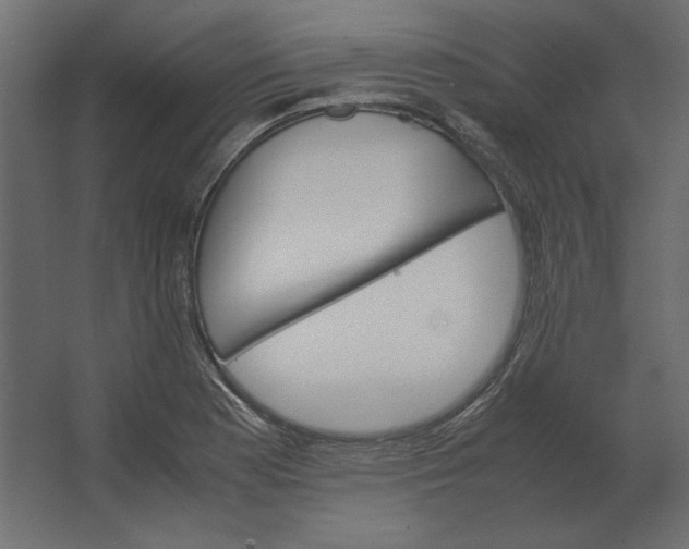 X0000067481177200604211625