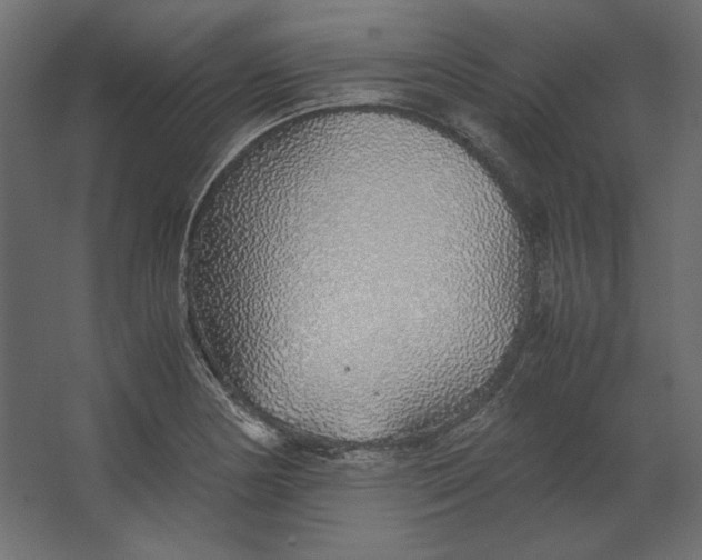 X0000067481178200604211625