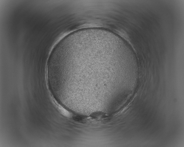 X0000067481179200604211625