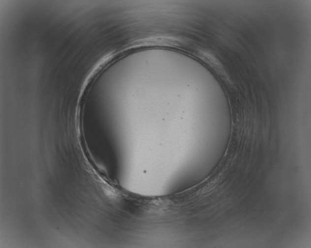 X0000067481180200604211625