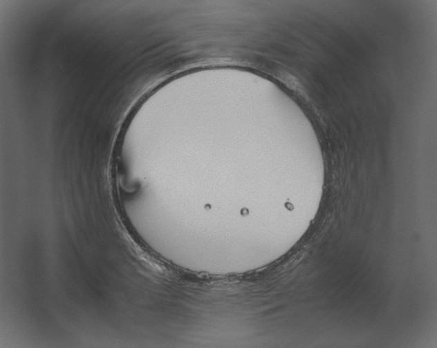 X0000067481181200604211625