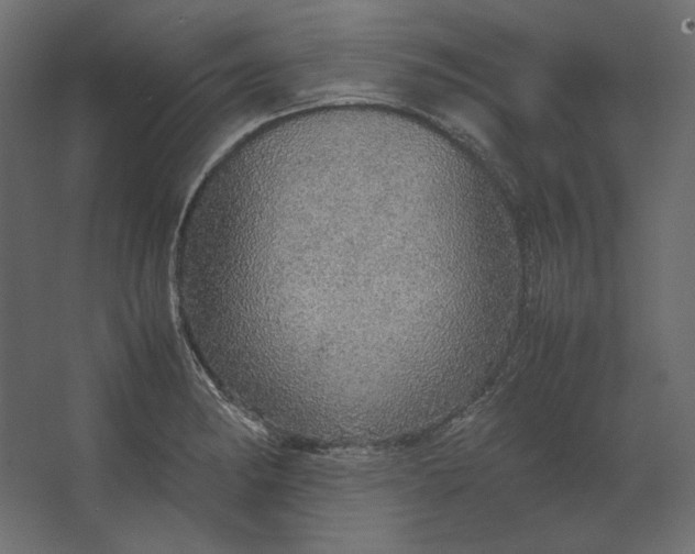 X0000067481182200604211625