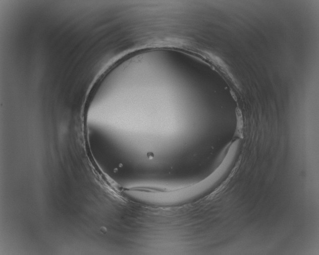 X0000067481184200604211625