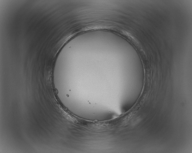 X0000067481185200604211625