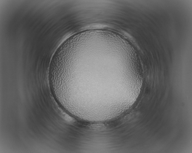 X0000067481186200604211625