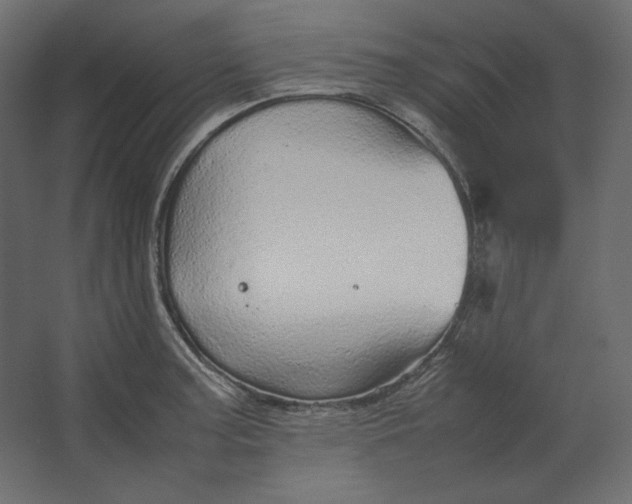 X0000067481187200604211625