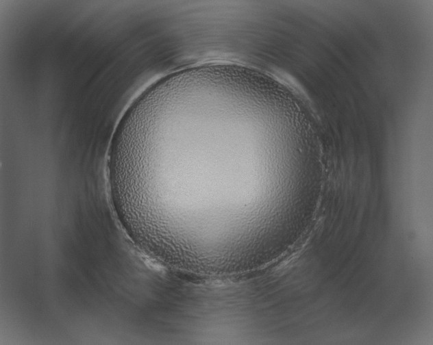 X0000067481190200604211625