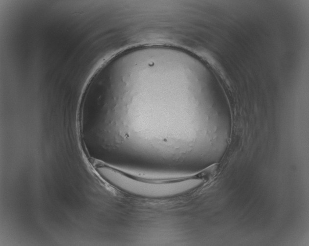 X0000067481191200604211625