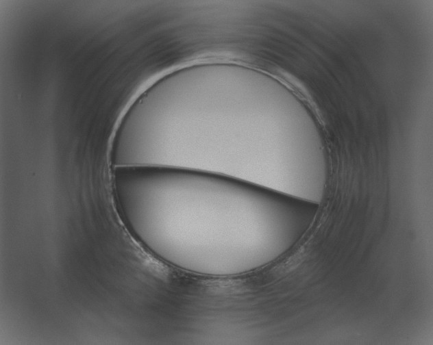 X0000067481192200604211625