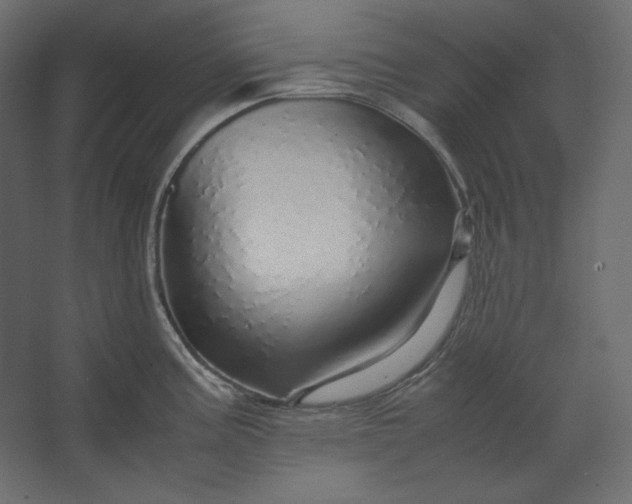 X0000067481195200604211625