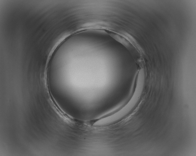 X0000067481196200604211625