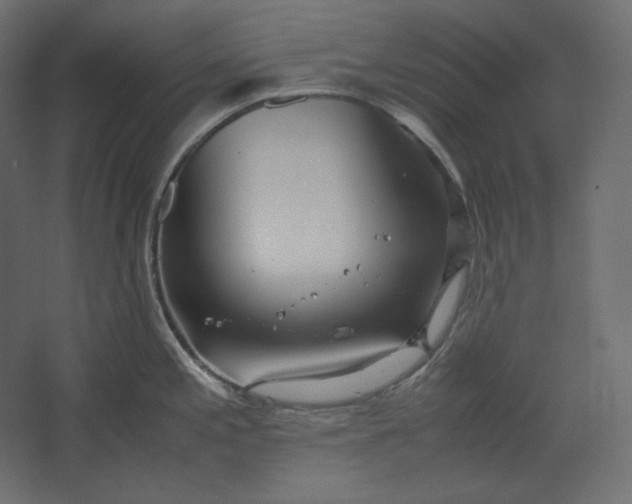 X0000067481197200604211625