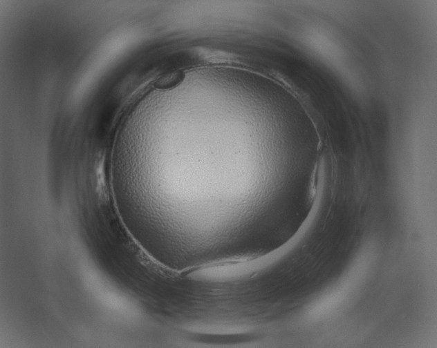 X0000067481198200604211625