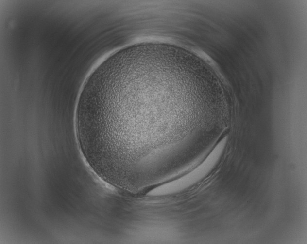 X0000067481199200604211625