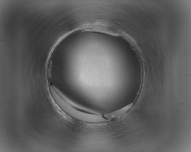 X0000067481200200604211625