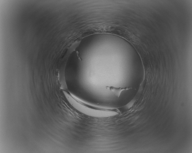 X0000067481202200604211624