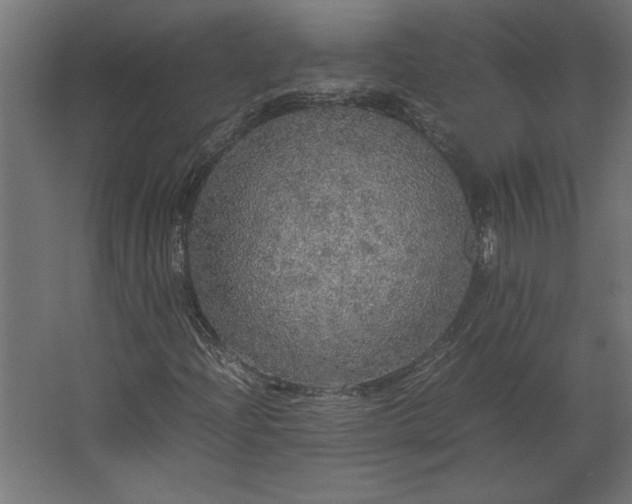 X0000067481204200604211624