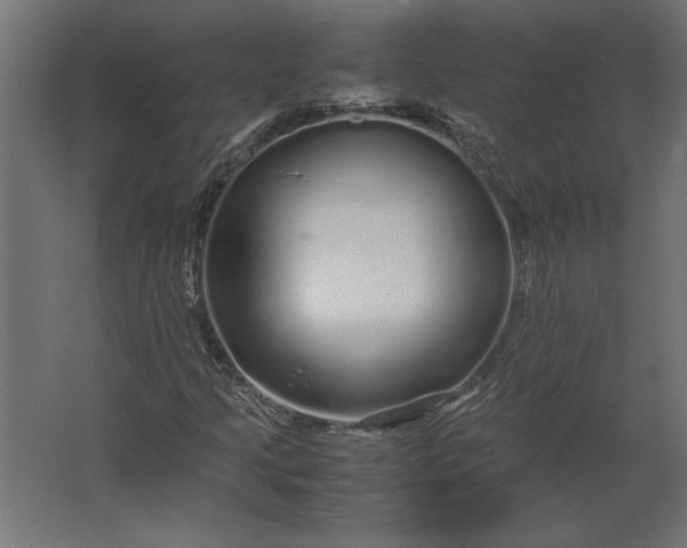 X0000067481205200604211624