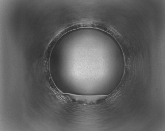 X0000067481208200604211624