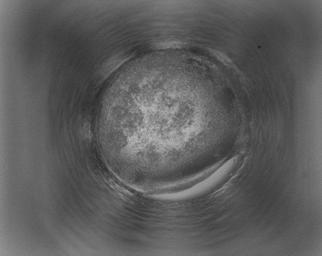 X0000067481209200604211624