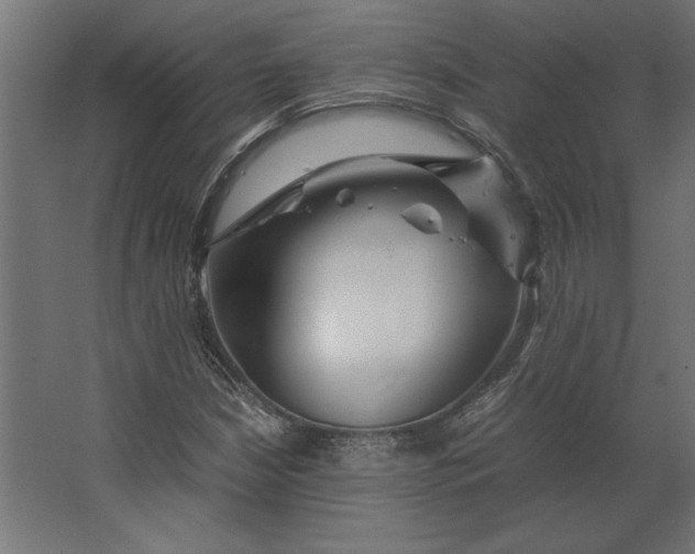 X0000067481210200604211624