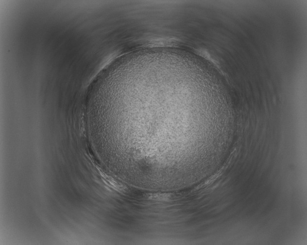 X0000067481211200604211624