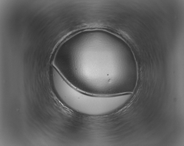 X0000067481212200604211624