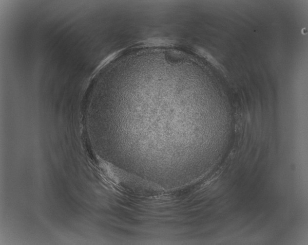 X0000067481213200604211624