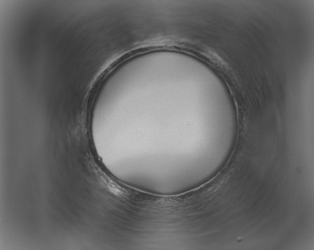 X0000067481216200604211624