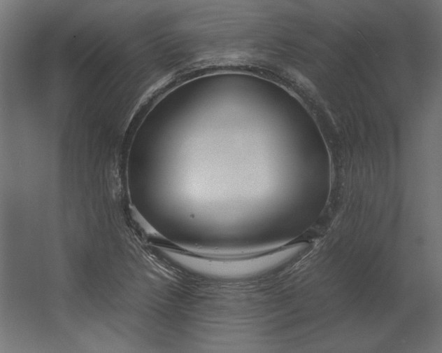 X0000067481218200604211624