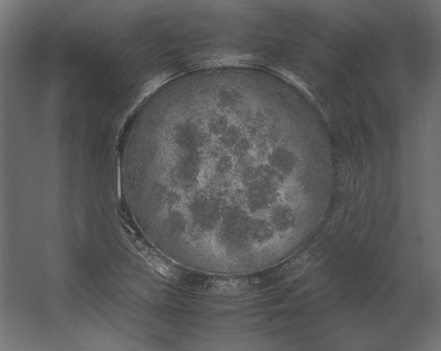 X0000067481219200604211624