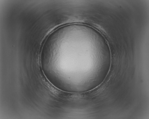 X0000067481220200604211624