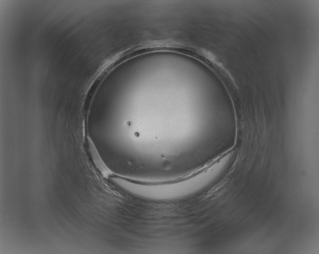 X0000067481221200604211624