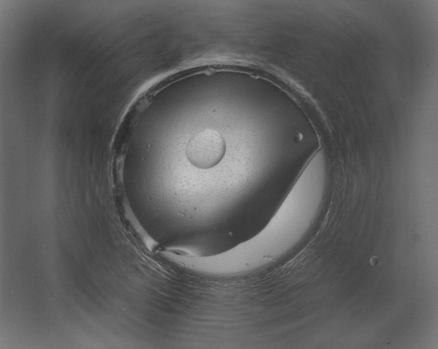 X0000067481222200604211624